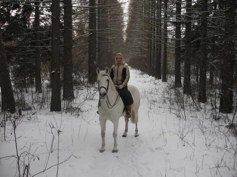 IMG_1385.jpg1.jpg"%20height="600"%20width="800